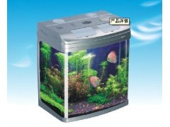 貴陽魚缸批發一站式解決方案 打造專業水族生態