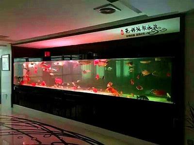 合肥水族箱定制與制作指南 打造專屬水下景觀